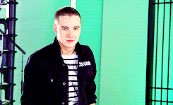 icanloveharrymorethanthis:  They are all so dumb hahaha 