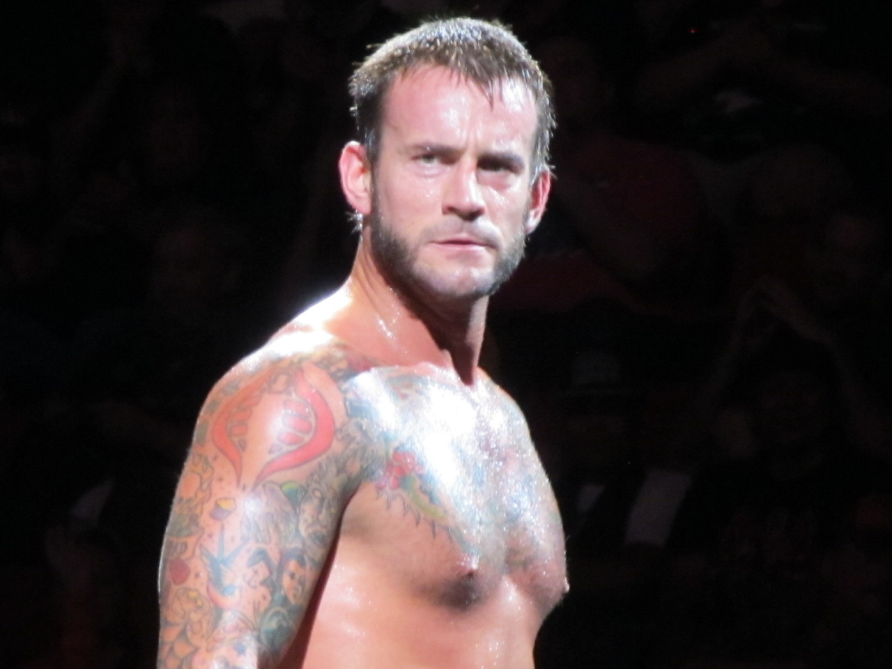 amyaloha78:  We interrupt this program for my awesome photo of CM Punk.  WWE Live,