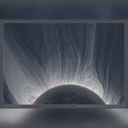 Detailed View of a Solar Eclipse Corona #nasa