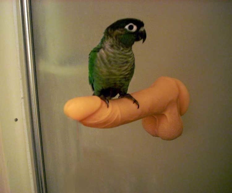&ldquo;Lou Anne, the store said it was Multipurpose.&rdquo;