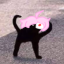 aiwant2dai