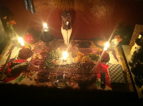 still-sammie-ru:My Samhain altar, crystals, & herb garden
