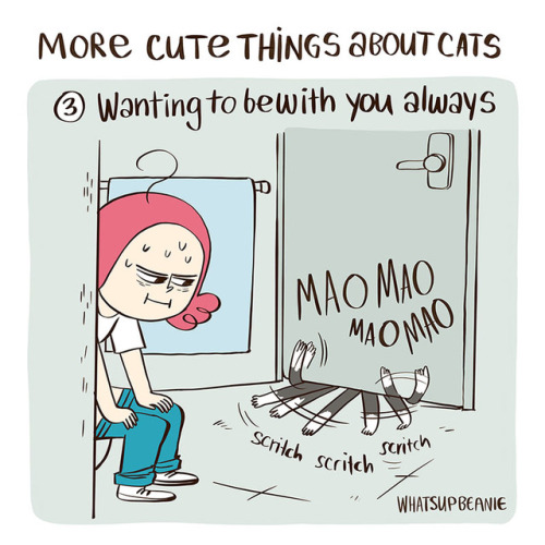 whatsupbeanie:Some more cute things that cats do. I find it so funny how they want attention but the
