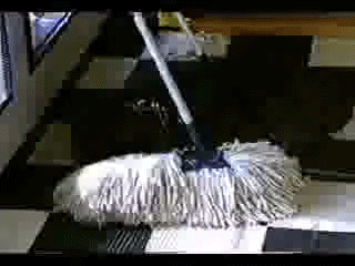 sizvideos:  Watch the video of this dog mop 