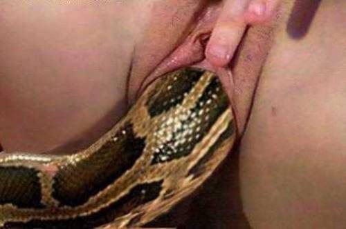 Sex neteruking:  Behold the Serpent was the most pictures