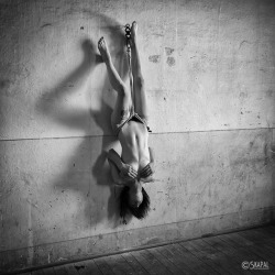 acordesetacris:   hung on the wall as a work of artModel : https://www.instagram.com/elisabethand_shibari/R&amp;P skapal Photography©   