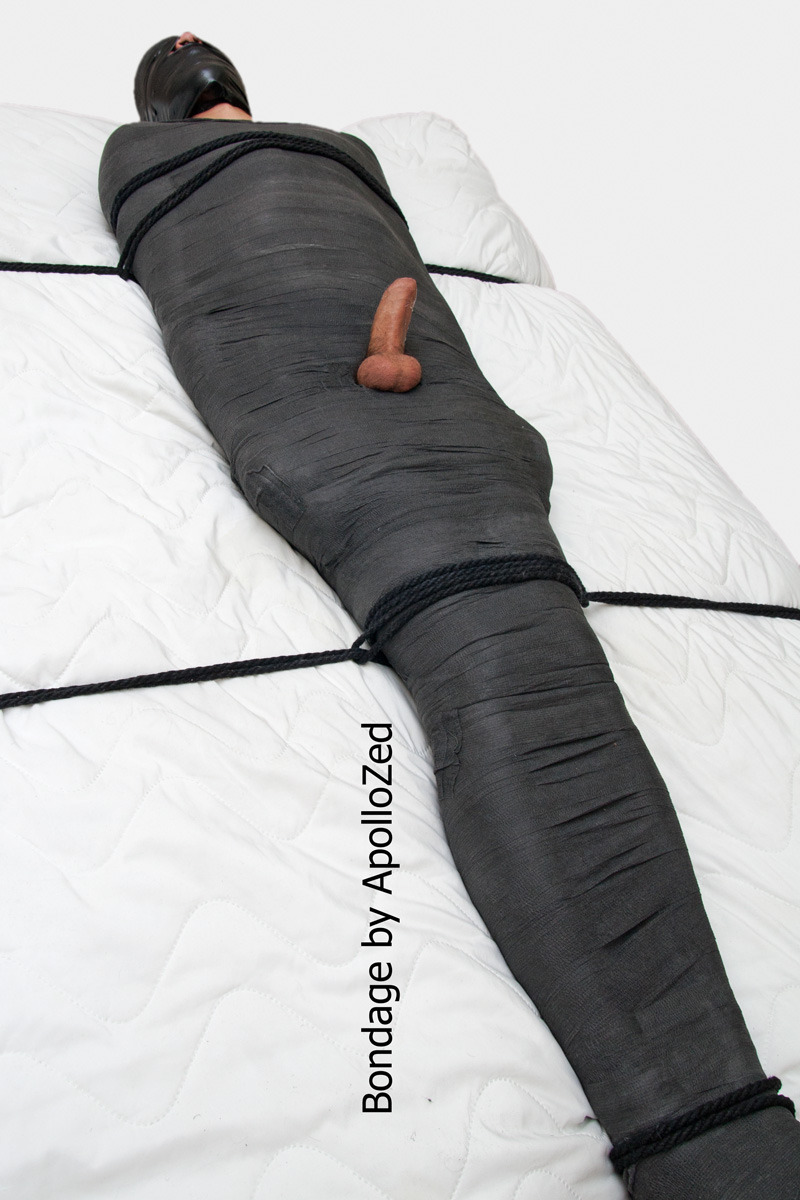 apollozed:Vet wrap, vinyl tape, and ropes = secured