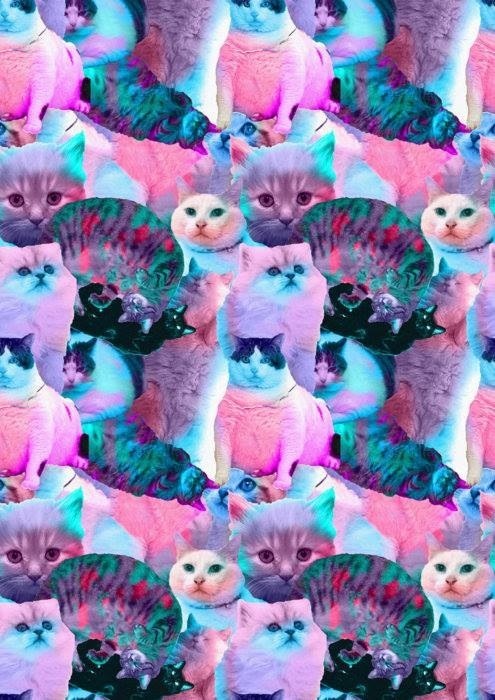 jkahh:  Look at this psychedelic shit 