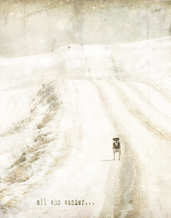 ryverfenix:  darksilenceinsuburbia:  Jamie Heiden  Nice.