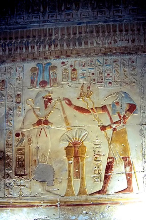 Ancient Egyptian reliefs from the temple of Osiris at Abydos, including representations of Pharaohs 