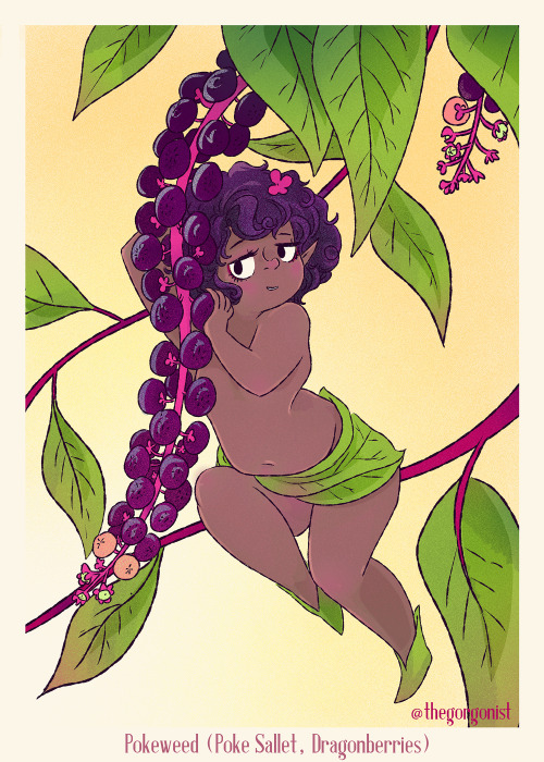 Day 20 is Pokeweed! I loved reading about how the young leaves are edible and savored in the US Sout