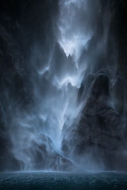 Tulipnight:  Falling Water By John Kitching 