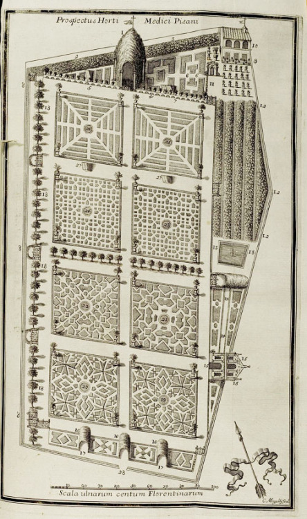 design-is-fine:Michael Angelo Tilli, garden design, Catalogus Plantarum Horti Pisani, 1723. Florence