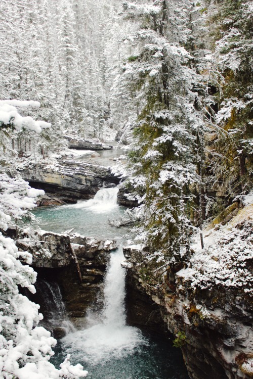 matchbox-mouse:Waterfalls nestled in the woods.Alberta, Canada.