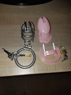 Finally moving up to the bigger sissy pink heart butt plug😊 But now i dont no which chastity to pick The metal or the sissy pink cb6000s&hellip;.  Please help me and who wants the keys?? Sissy cumdumpster slut slave Peaches