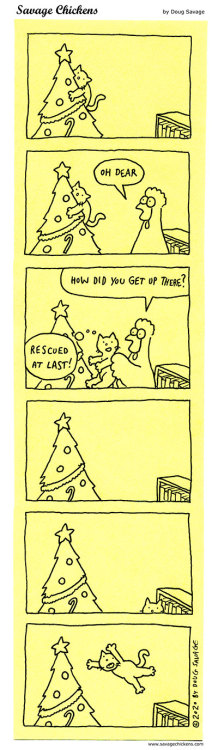 savagechickens:  Cat vs Tree 4.The final(?) chapter. And now it’s time for my annual holiday break. I’ll be back on Dec 31 with my Best of 2020 post, and with fresh cartoons in 2021!