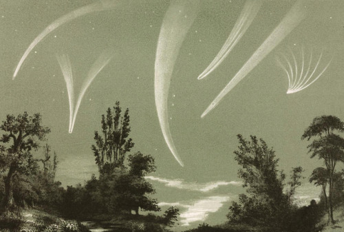 James Reynolds - Astronomical diagram. Comets - c.1850 - via Science Museum Group