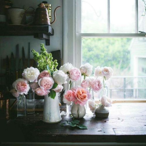 Scents of Summer