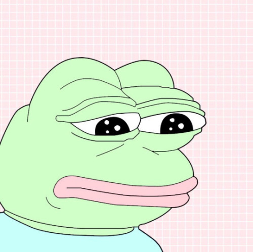 pepe-leaker:When you see a good meme but you have an aesthetic blog