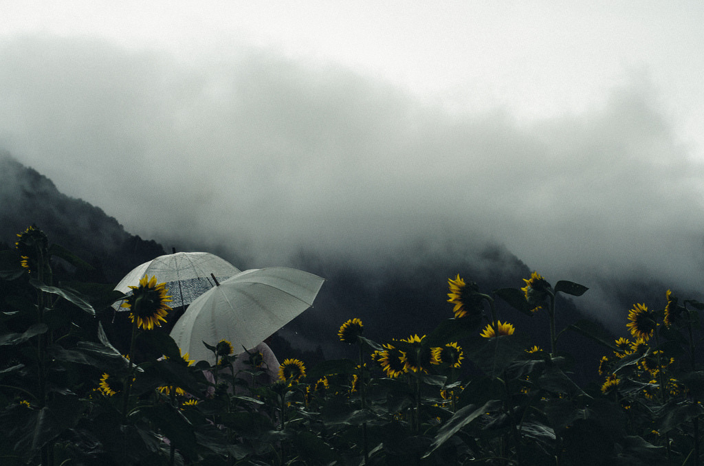 euphoria.