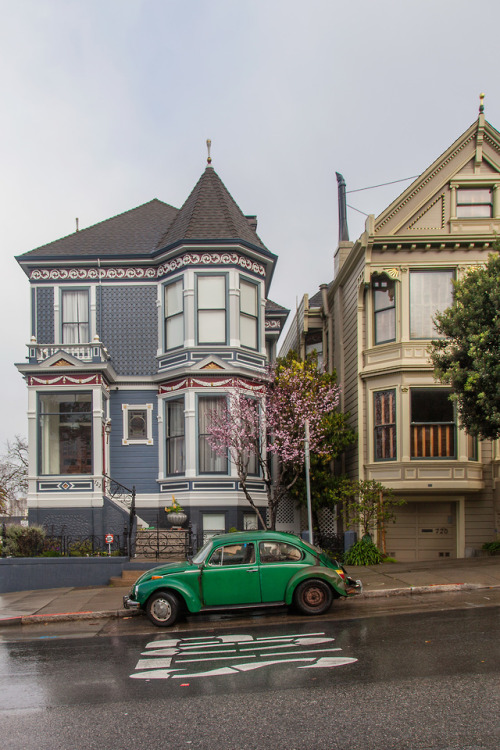 Alamo Square | San FranciscoPhoto by Mina Seville