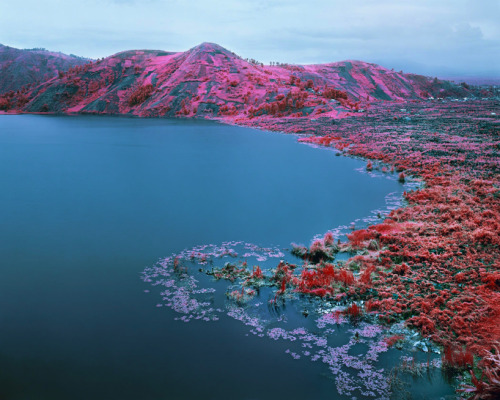 vanished:  Richard Mosse - Eastern Congo, 2012 