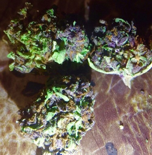 awesomebongs: Some yummy purple bud [9]