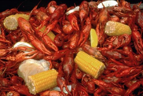 whirlofacurl:  estrella-fuego:  just-call-me-vendetta:  souljunkee:  aunaturale4life:  cmd80337:  Louisiana Cajun/Creole food Ca c’est tres bon!  MY CHILDHOOD! I LIVE FOR THIS FOOD ESPECIALLY SOME CRAWFISH  NOLA is calling me…  My city…my state…nowhere