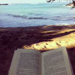 merakix:  wow perfect reading spot 