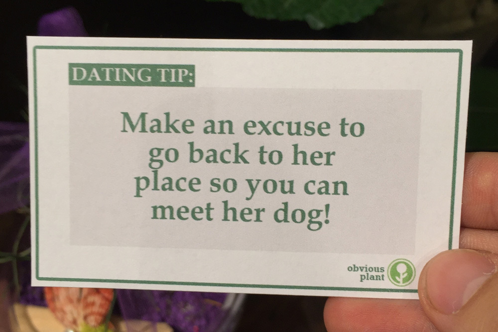 obviousplant:  Free dating advice left in the floral department of a grocery store