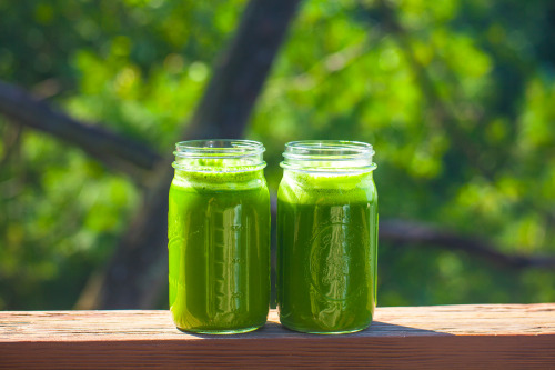 Olenko&rsquo;s Green Detox Juice spinach kale apple lemon arugula cucumber parsley cilantro cele