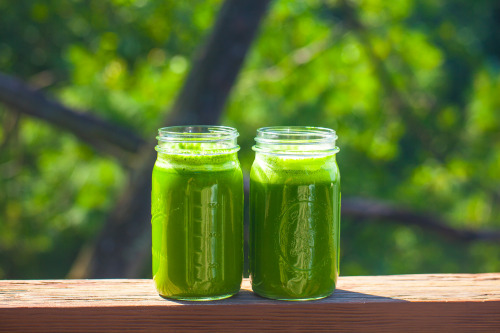 Olenko’s Green Detox Juice spinach kale apple lemon arugula cucumber parsley cilantro celery g