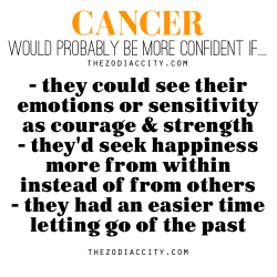 zodiaccity:  Zodiac Files: Cancer would probably