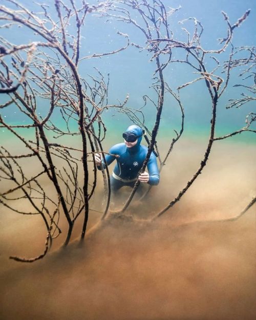 Dope Reposted from @liam__maclean Trees reaching out of the clouds.  The layer of water underneath w