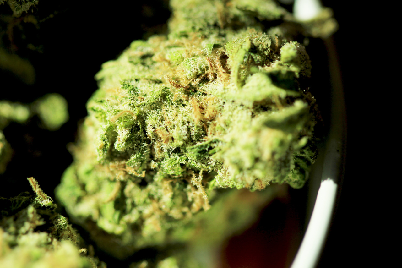 a-high-ass-ginger:  Blue Dream! It’s what’s in the bowl! I follow back everyone!