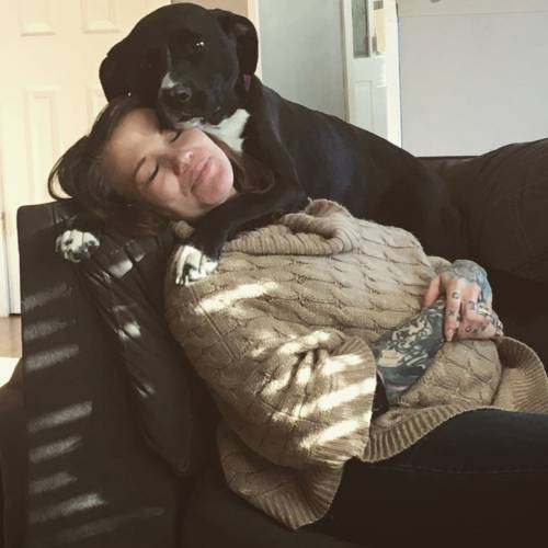 everythingfox:“My pit has been extremely affectionate with my sister ever since she got pregna