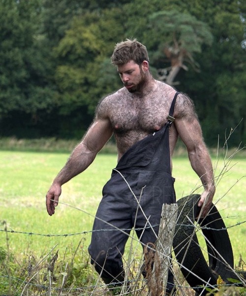 jockedupbrit: Me being a fully hairy farmer (this is me) #retweet