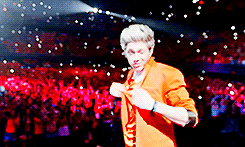 flawlessharry:  One year since the Amsterdam TMH concert (03.05.2013 - 03.05.2014)