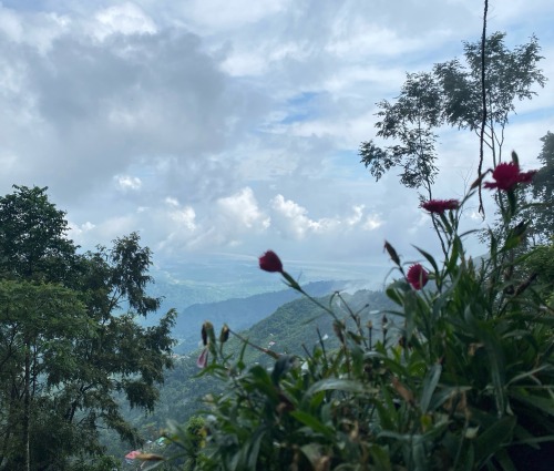 The Balcony Of My Room Is Nothing Less Than A Paradise.