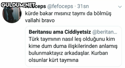 fefoceps @fefoceps · 31sn...