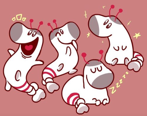 itsgrindtime:never posted my magical sock dragon, lefty, here did i??  well better late then never (
