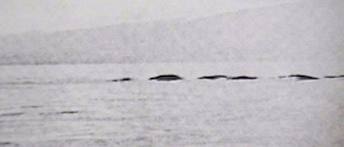 OgopogoLake Okanagan, a remnant of the last ice age some 10,000 years ago and the reported home of a