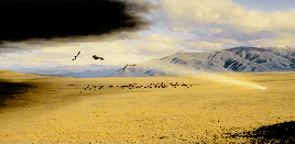 dungeonsdeepcavernsold:  LOTR & HOBBIT GIF BATTLE  |  vs torhin  ↳  round 01: colour porn
