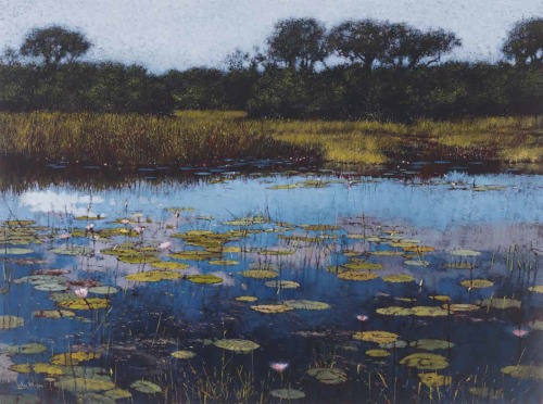 John Meyer (b.1942) - Okavango Channel Blooms.