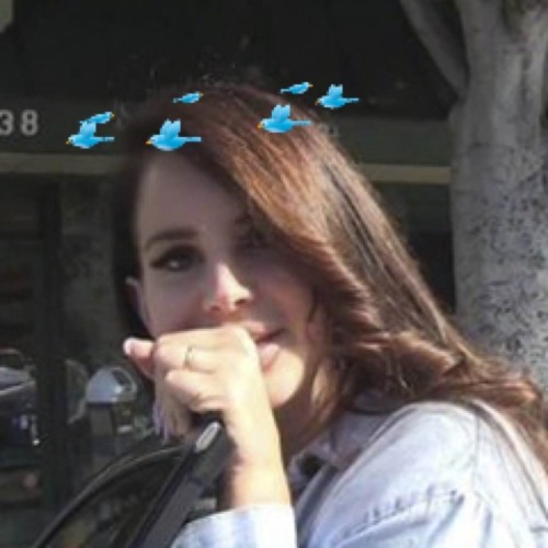 iconxheart: *:･ﾟ✧*lana del rey*:･ﾟ✧* icons w hearts/birds ➜ like/reblog if you save them or Credit 