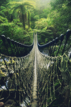 Lori-Rocks:  Begin To Adventure, The Suspension Bridge, Taiwan,  By  Hanson Mao