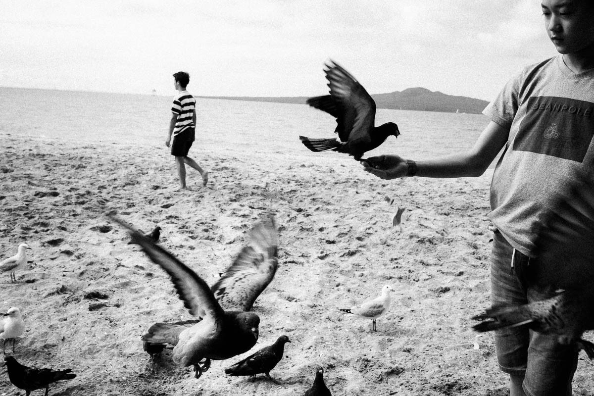 chrisleskovsek:Last days of summer, Auckland, NZ
