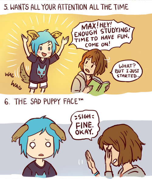 ✧･ﾟ: *✧ Reasons Why Chloe Price is Actually a Puppy ✧ *:･ﾟ✧♡ Characters ♡ : Max Caulfield ♥ C