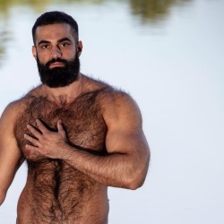 Hot hairy men