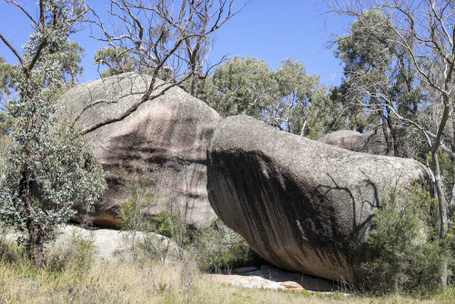 2021: The granite exposed along the ridge of Evans Crown is thought to be considerably younger (312 